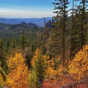 Meet your Posher, Ann